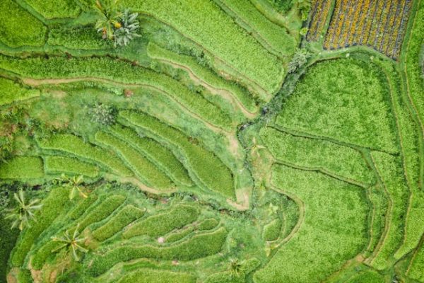 La erosión del suelo en zonas agrícolas de España: un riesgo creciente La erosión del suelo en zonas agrícolas de España un riesgo creciente