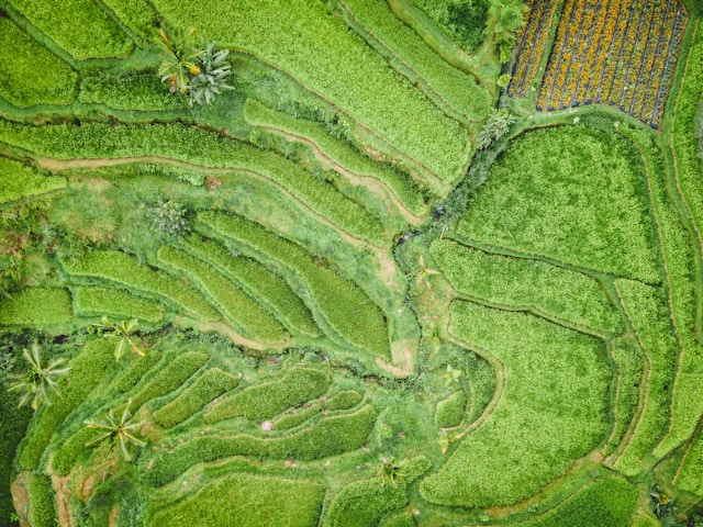 La erosión del suelo en zonas agrícolas de España: un riesgo creciente La erosión del suelo en zonas agrícolas de España un riesgo creciente